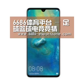 华为无线快充手机