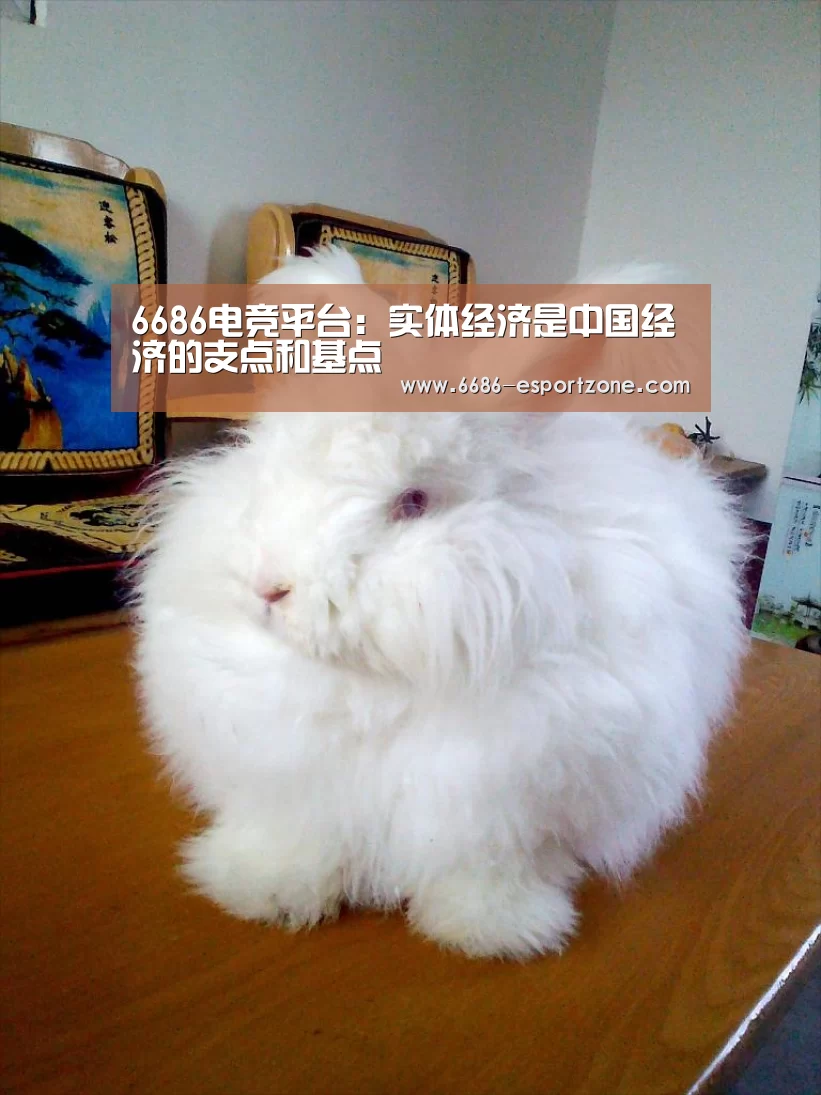 6686电竞竞猜